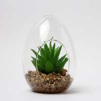 Set of 4 assorted Artificial Succulent Plants in glass ball