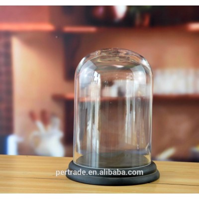 clear glass dome cloche with wooden base